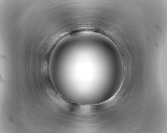 X0000091230144200708091424