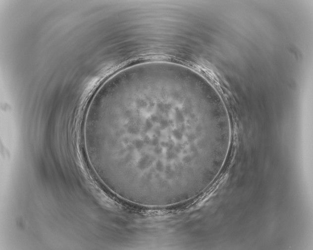 X0000091230145200708091424