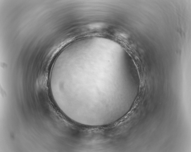 X0000091230146200708091424