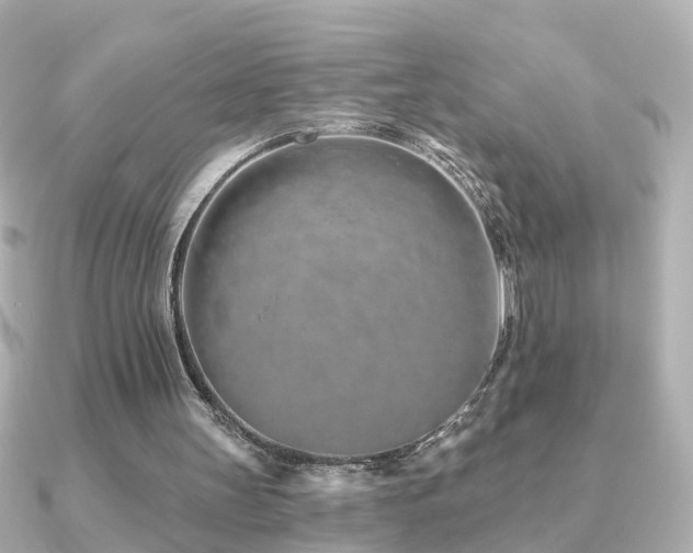 X0000091230147200708091424