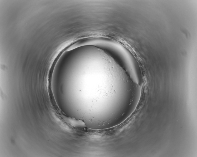 X0000091230148200708091424