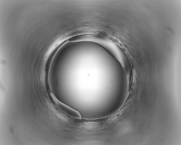X0000091230150200708091424