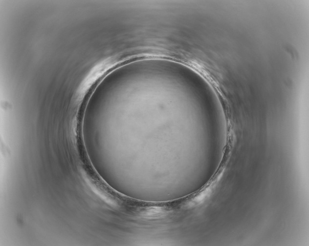 X0000091230151200708091424