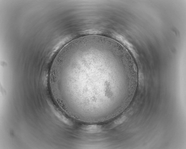 X0000091230153200708091424