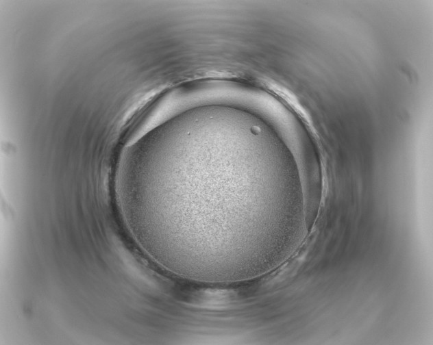 X0000091230154200708091424