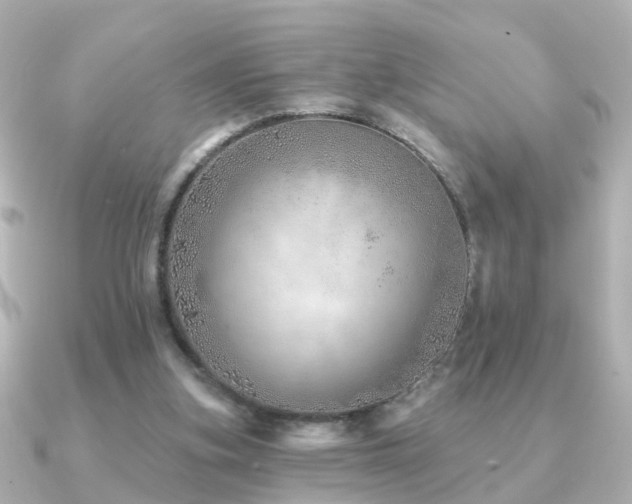 X0000091230155200708091424