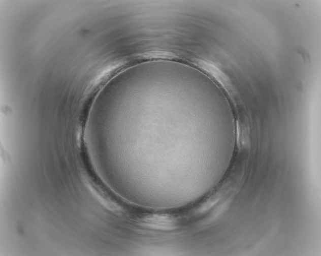 X0000091230157200708091424