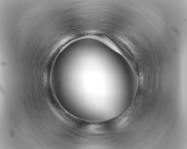 X0000091230158200708091424