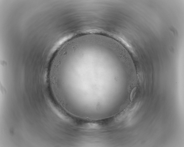 X0000091230159200708091424