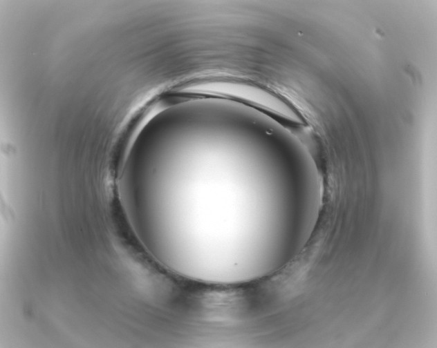 X0000091230160200708091424