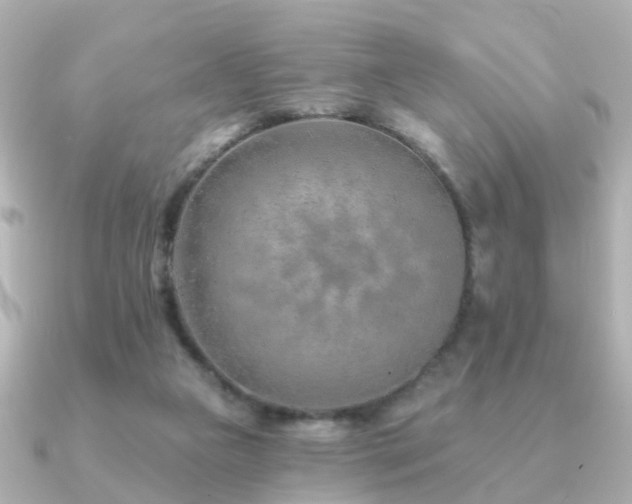 X0000091230161200708091424