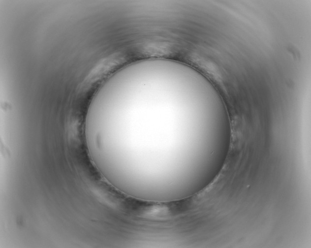 X0000091230162200708091424