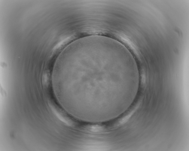 X0000091230165200708091424