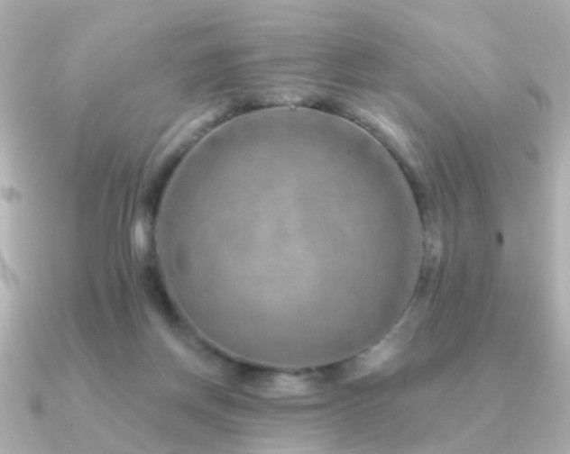 X0000091230166200708091424
