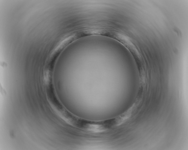 X0000091230167200708091424