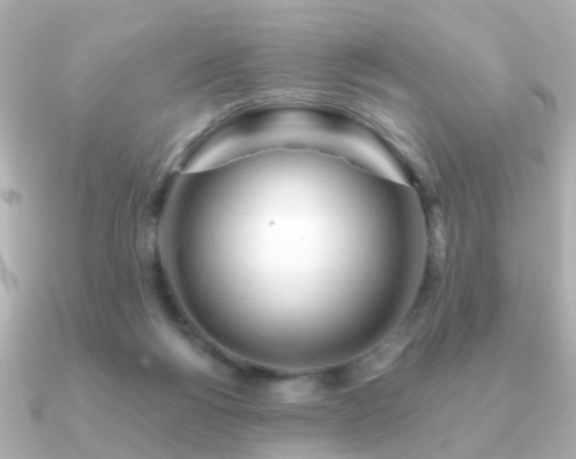 X0000091230168200708091424