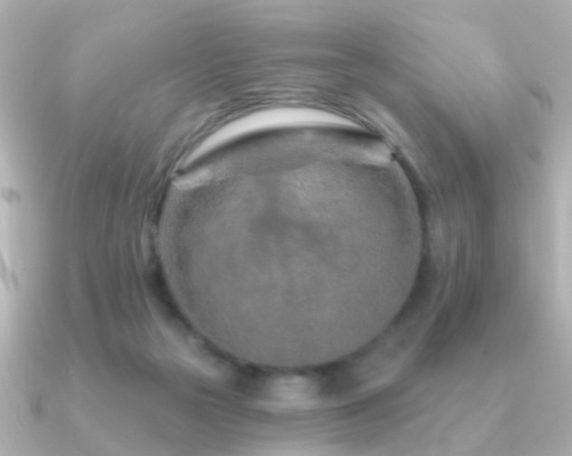 X0000091230169200708091424