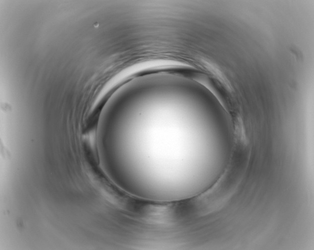 X0000091230170200708091424