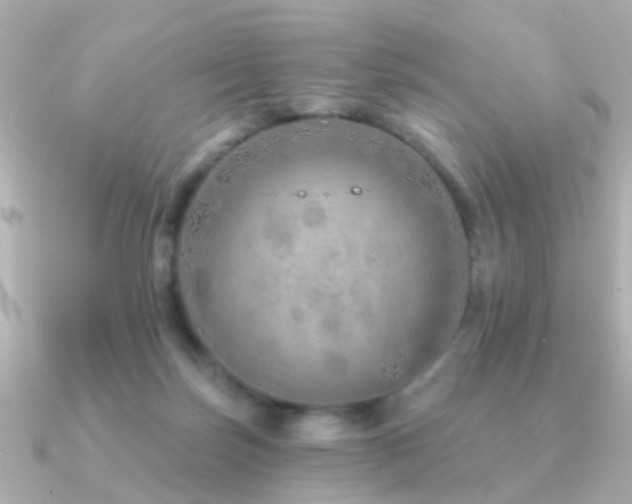 X0000091230171200708091424