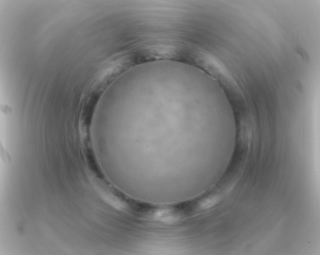 X0000091230173200708091424