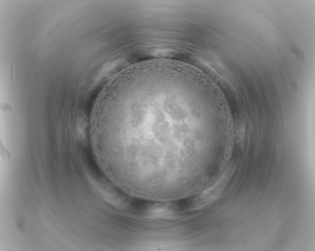 X0000091230175200708091424