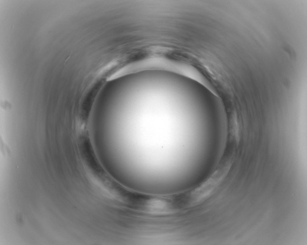 X0000091230176200708091424