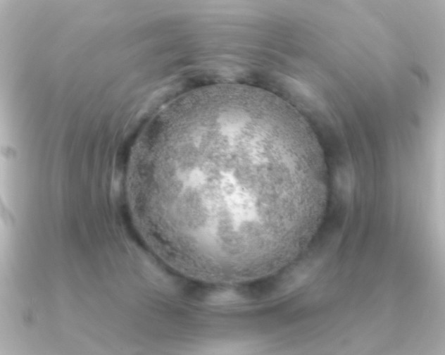 X0000091230177200708091424