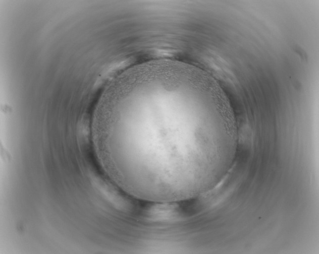 X0000091230179200708091424