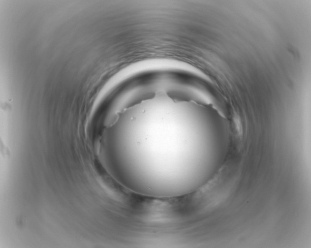 X0000091230180200708091424