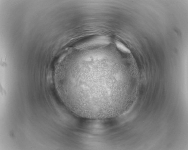 X0000091230182200708091424