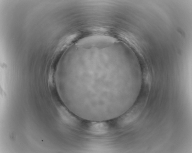 X0000091230185200708091424