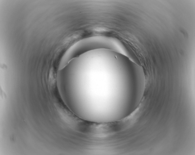 X0000091230186200708091424