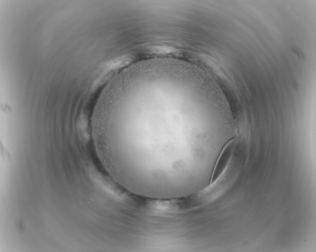 X0000091230187200708091424
