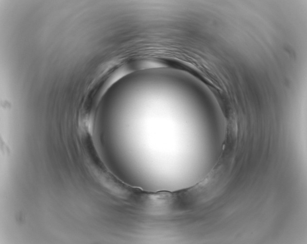 X0000091230188200708091424