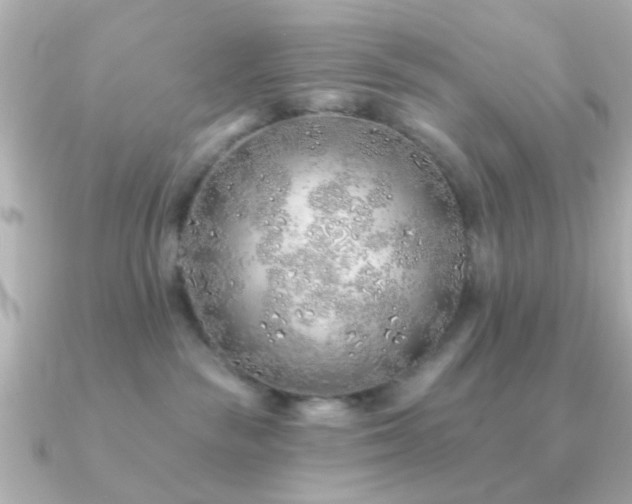 X0000091230189200708091424
