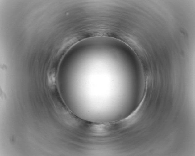 X0000091230190200708091424