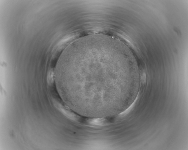 X0000091230191200708091424