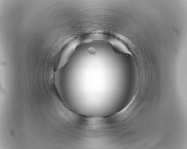 X0000091230192200708091424