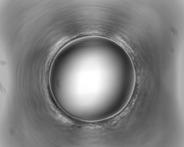X0000091230193200708091424