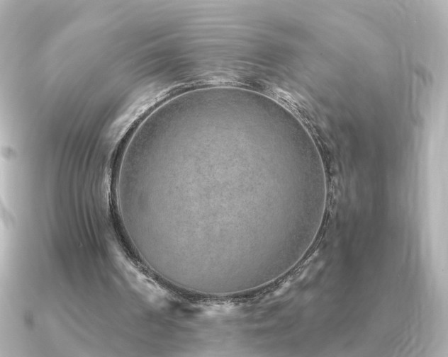 X0000091230194200708091424