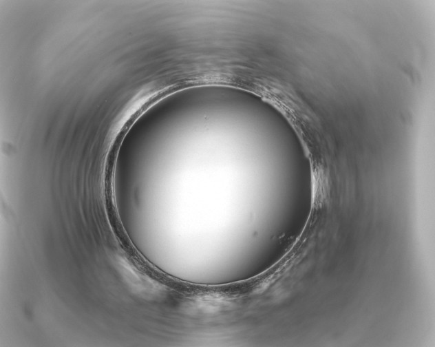X0000091230195200708091424