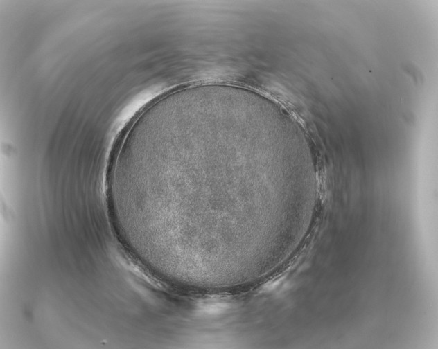 X0000091230196200708091423