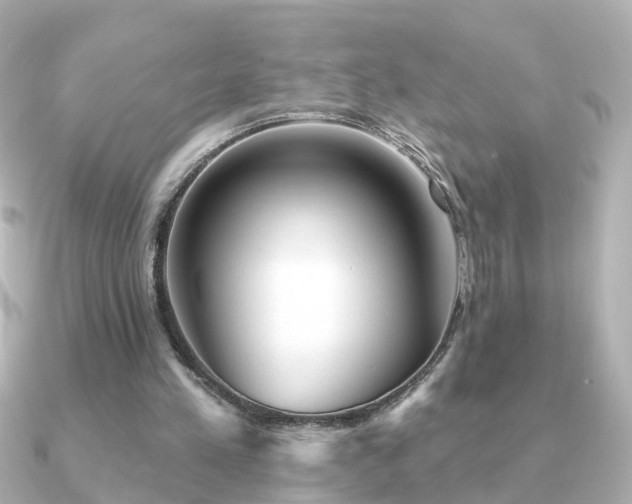 X0000091230197200708091423