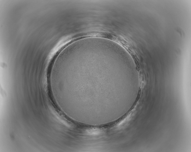 X0000091230198200708091423