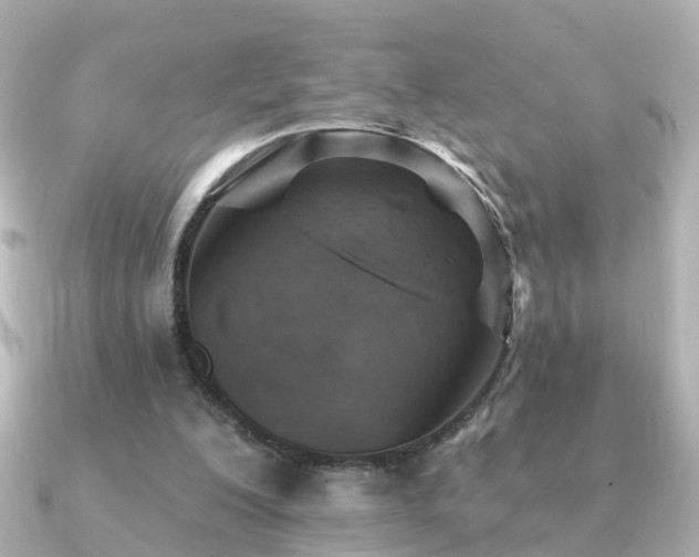 X0000091230200200708091423