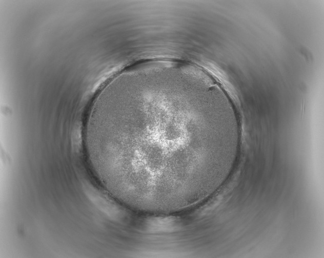 X0000091230202200708091423