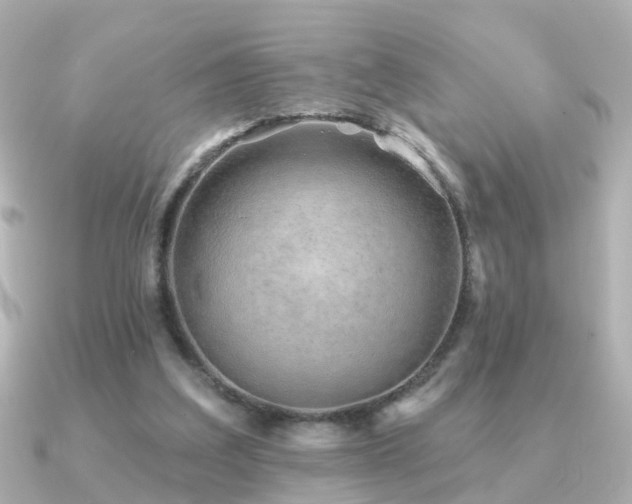 X0000091230203200708091423