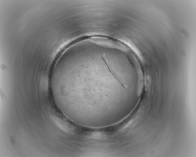 X0000091230204200708091423