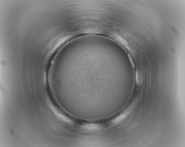 X0000091230205200708091423