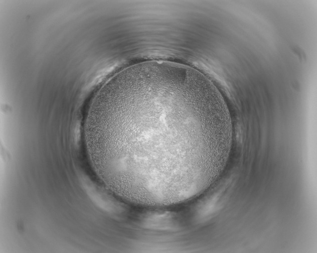 X0000091230206200708091423